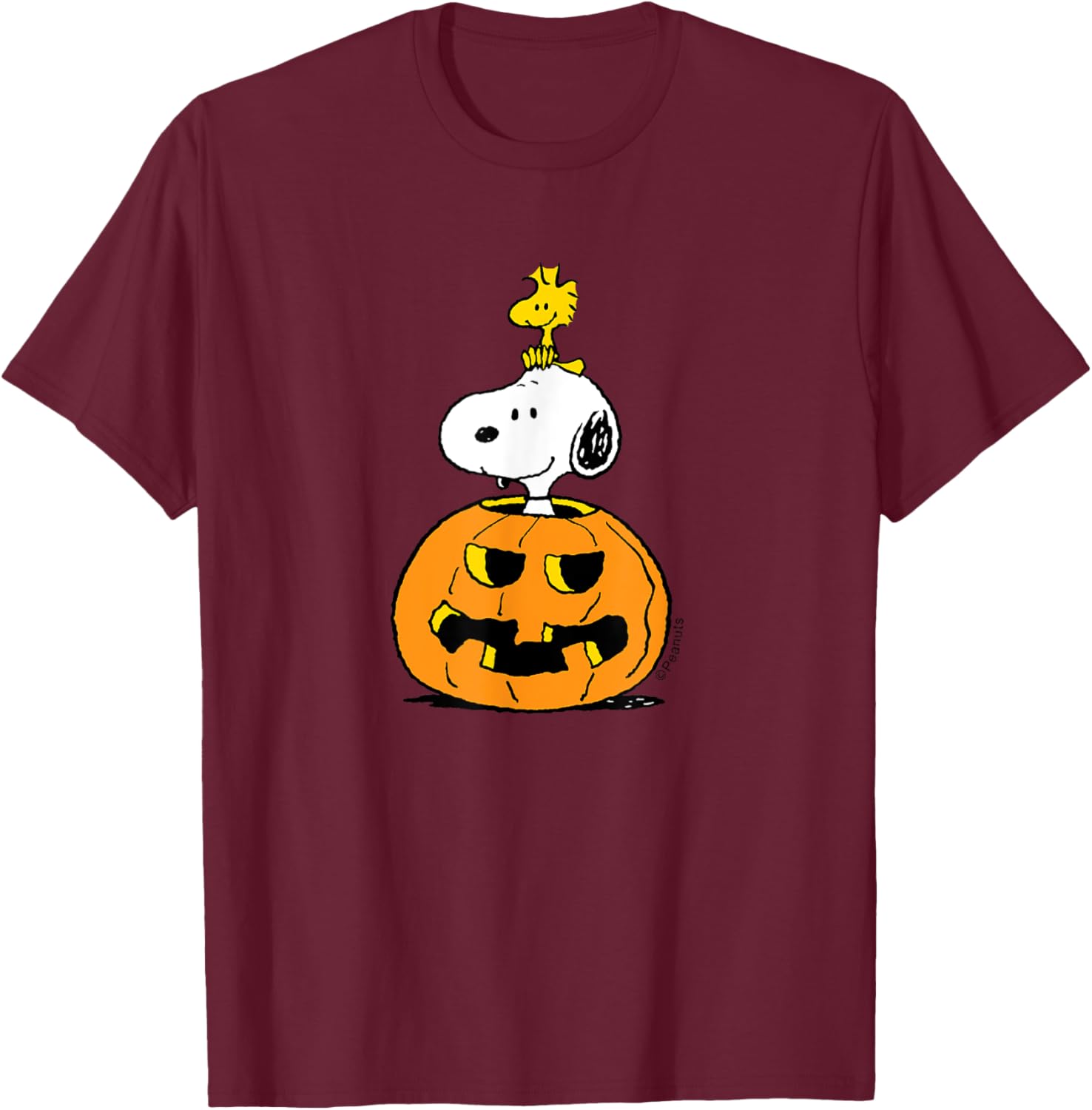 Cute Peanuts Halloween Snoopy Woodstock Pumpkin T-Shirt for Fun Celebrations - 9