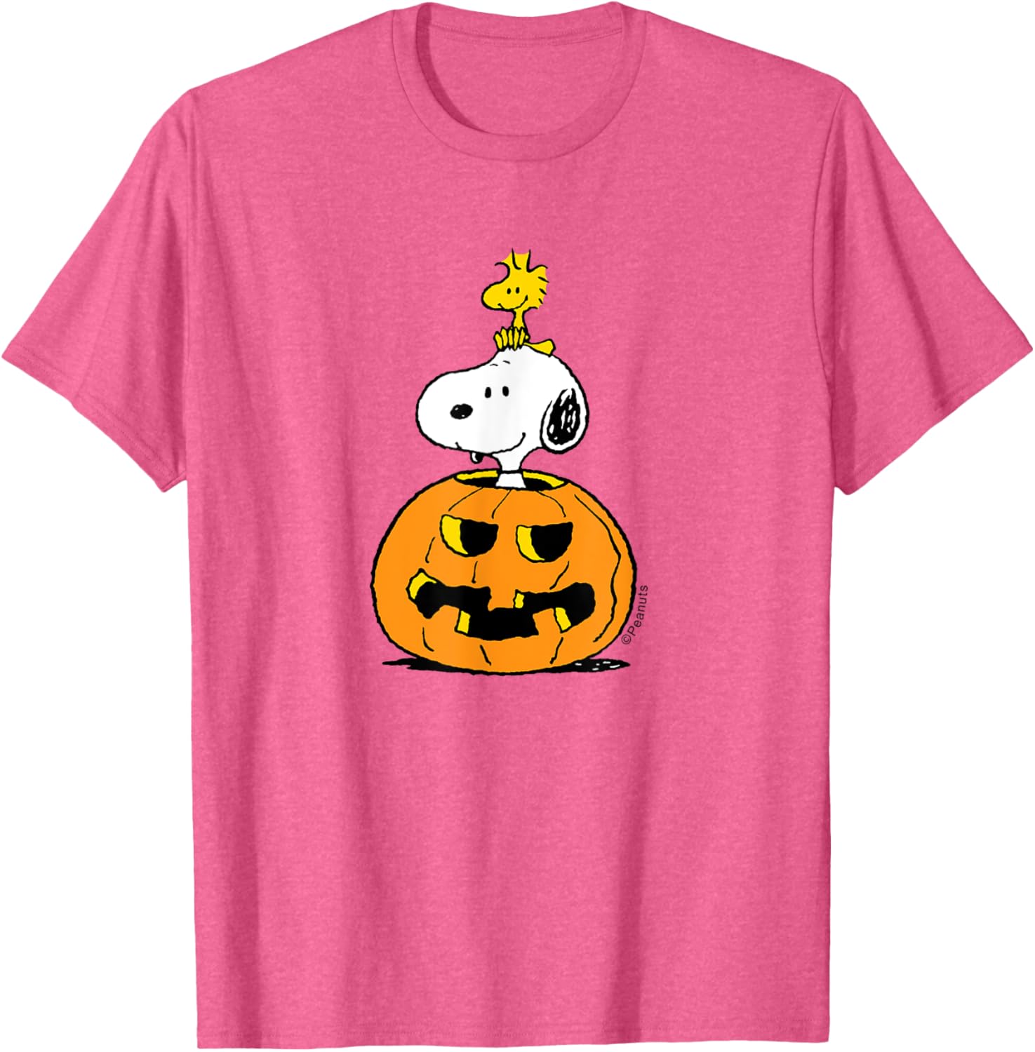 Cute Peanuts Halloween Snoopy Woodstock Pumpkin T-Shirt for Fun Celebrations - 5